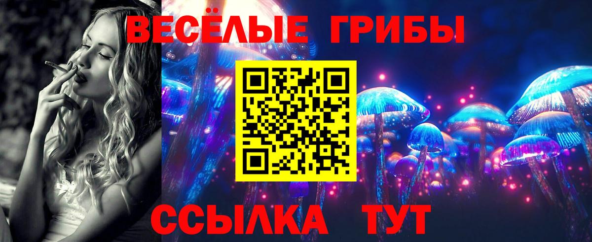Галлюциногенные грибы прущие грибы Ахтубинск