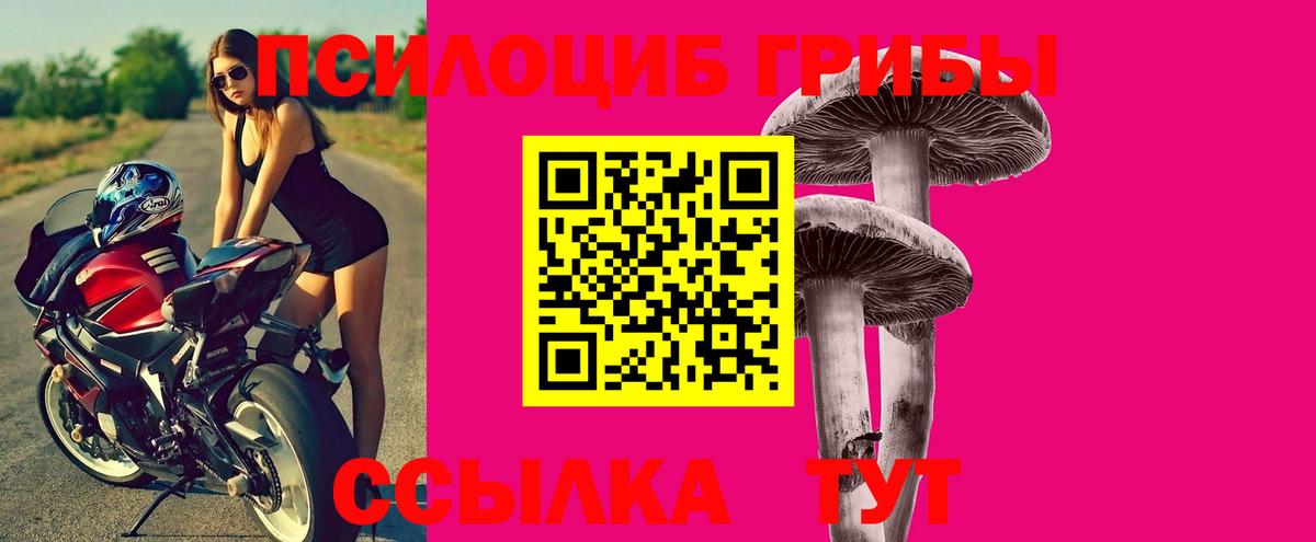 Псилоцибиновые грибы ЛСД  Вход с VPN  Ахтубинск 